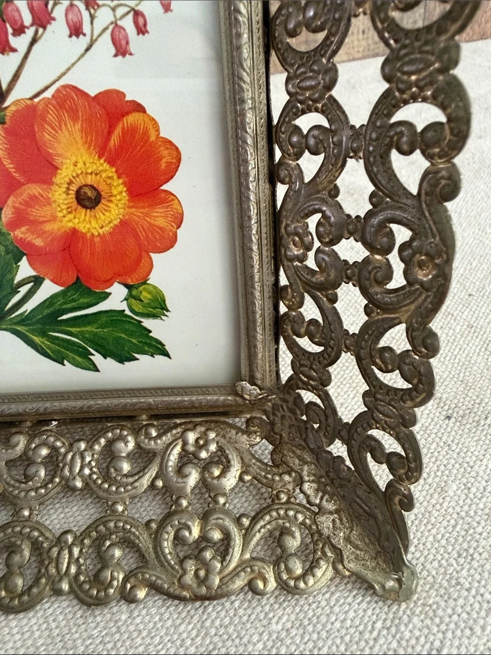 Vintage Brass Toned Filigree Frame with a Botanical Print